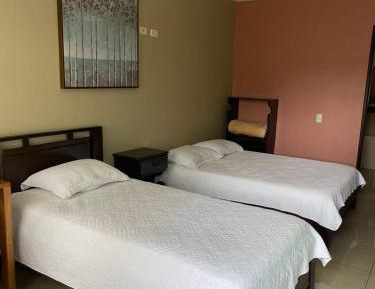 Standard Double Room with Two Double Beds