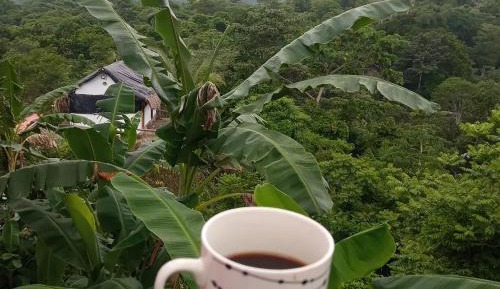 Economy Quadruple Room with Shared Bathroom