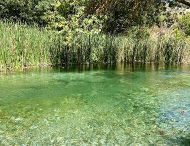 Deluxe Suite with Spa Bath