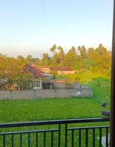 King Room with Mountain View