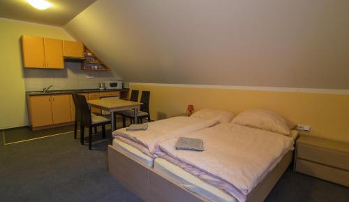 Apartment with Kitchen and Garage (4 Adults) c.9
