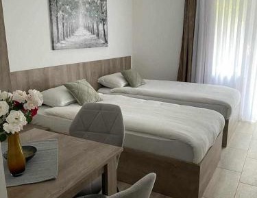 One-Bedroom Apartment with River View