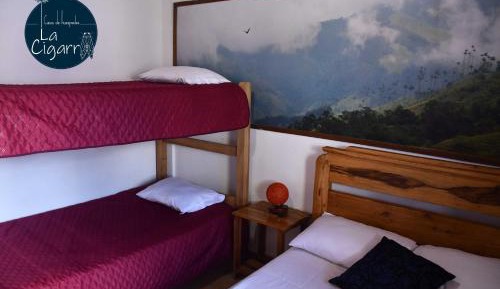 Economy Quadruple Room