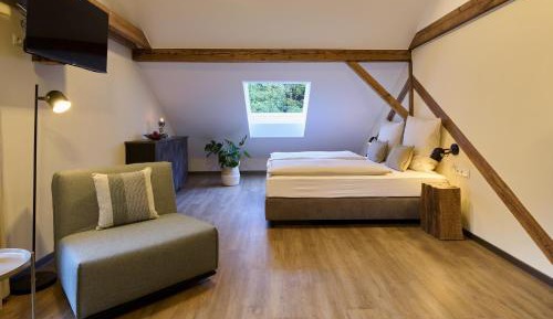 Studio with Garden View