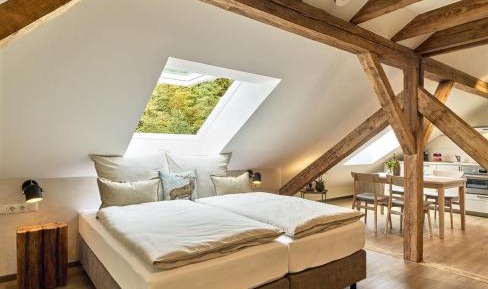 Studio with Sofa Bed