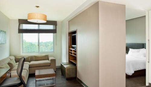 1 Bedroom Suite, 1 King, Sofa bed