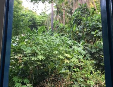 Double or Twin Room with Balcony