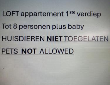 Three-Bedroom Loft Apartment