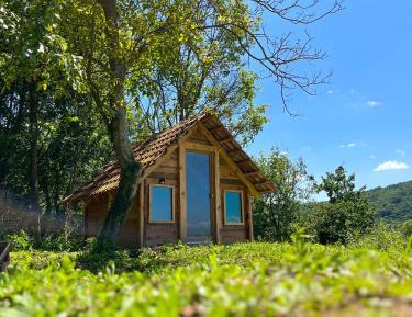 Twin Room with Lake View