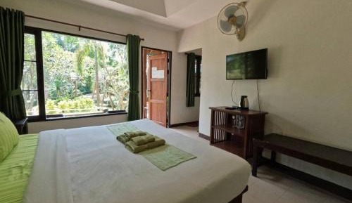 Double Room with Mountain View