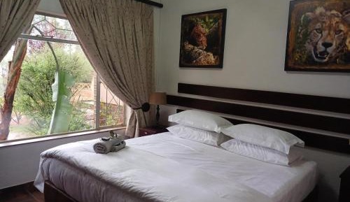 Basic King Room