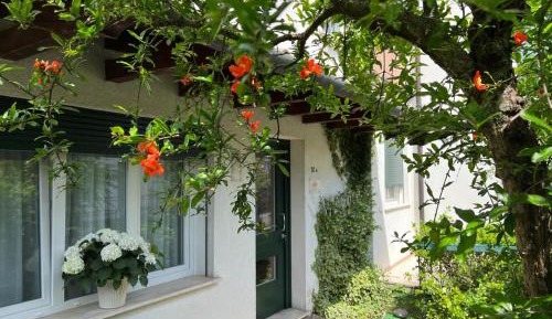 One-Bedroom Apartment with Garden View