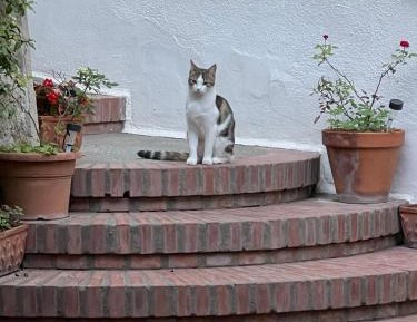 Double or Twin Room with Extra Bed