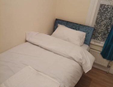 Single Room with Garden View