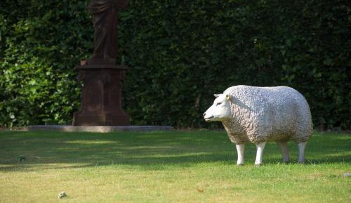 Deluxe Double Room with Terrace