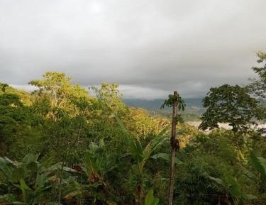 Family Room with Mountain View