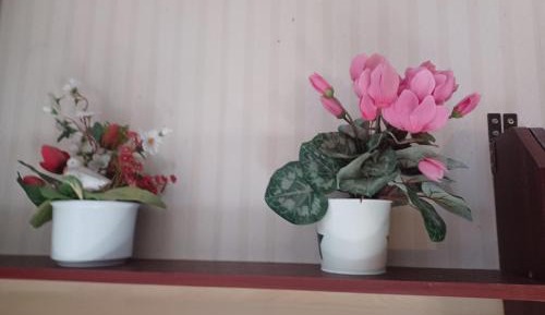 Single Room with Garden View