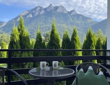 Double Room with Mountain View