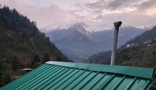 Bed in 4-Bed Mixed Dormitory Room