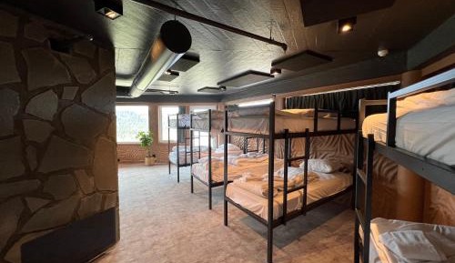 Bunk Bed in Mixed Dormitory Room