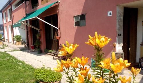 Quadruple Room with Private Bathroom