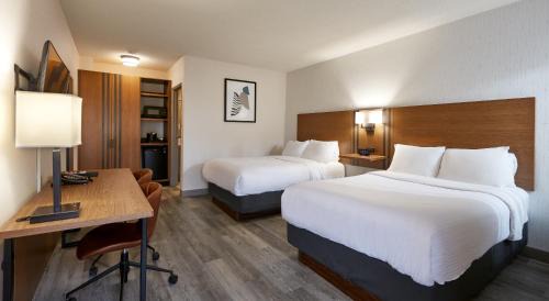 Double Room with Two Double Beds - Non Smoking