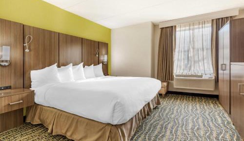 King Room - Disability Access With Roll In Shower - Non-Smoking