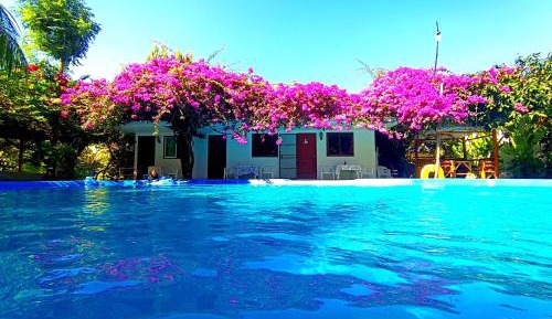 Queen Room with Pool View