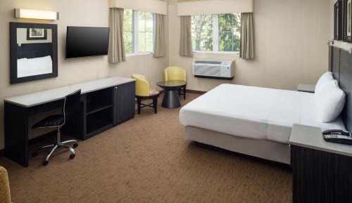 Deluxe King Room - Non-Smoking