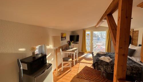 One-Bedroom Apartment - no dogs allowed