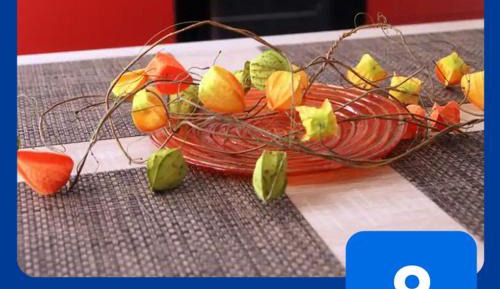 Apartment - Split Level