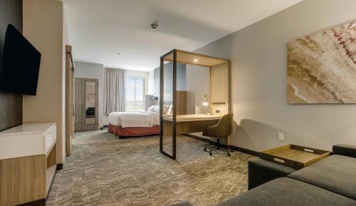 King Suite with Sofa Bed and Trundle Bed - Hearing Accessible