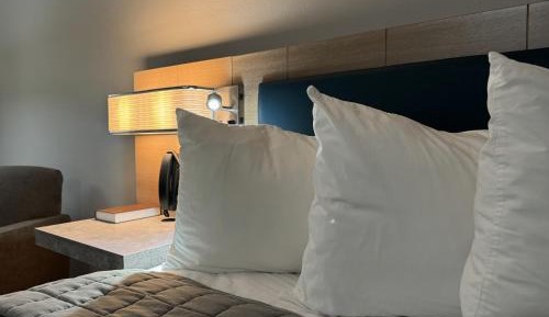 King Studio with Sofa Bed