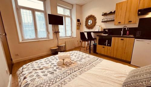 Studio with Sofa Bed