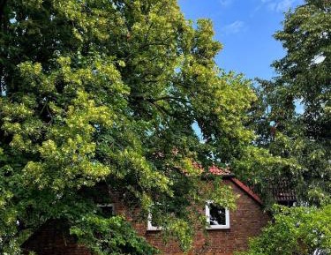 Apartment with Garden View