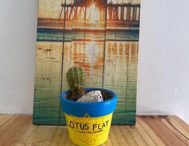 Deluxe Double Room (2 Adults + 1 Child)