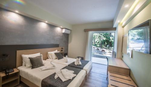 Superior Double or Twin Room with Mountain View