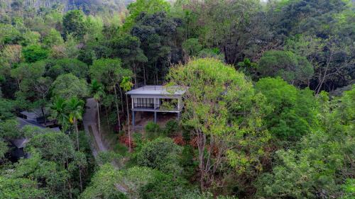 Wild Cottage