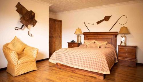 Superior Double or Twin Room