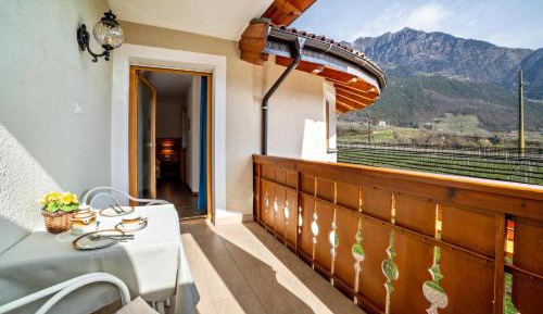 Superior One-Bedroom Apartment with Balcony