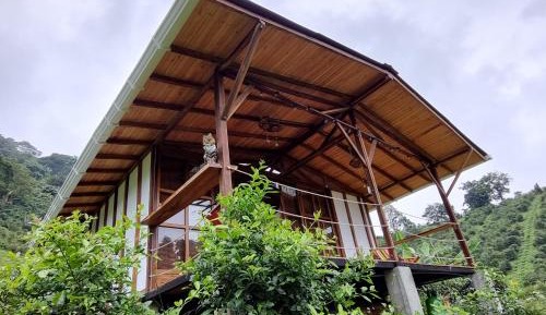 Deluxe Double or Twin Room with Mountain View