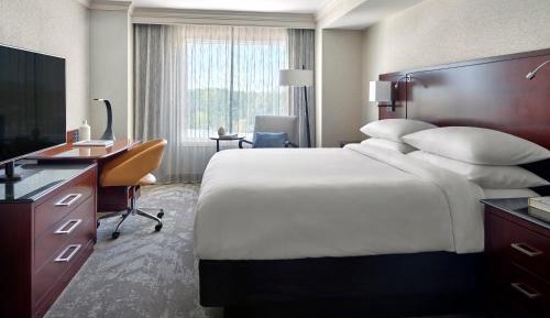 1 Bedroom Suite, 1 King