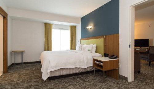 1 Bedroom Suite, 1 King, Sofa beds: 2