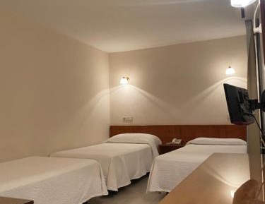Basic Triple Room