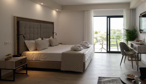 Deluxe Double or Twin Room with River View