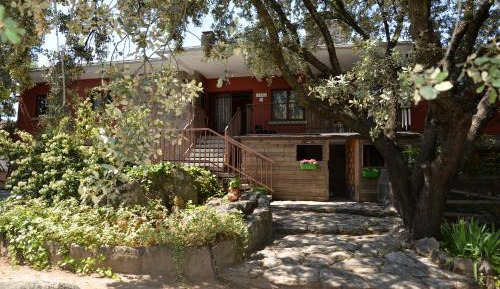 Apartment with Garden View