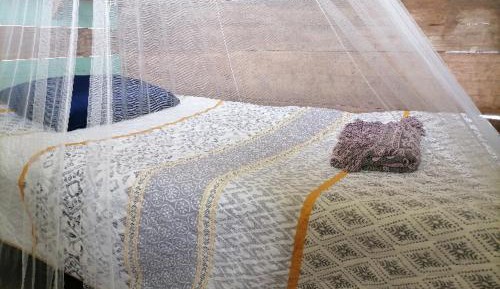 Standard Single Room with Mountain View