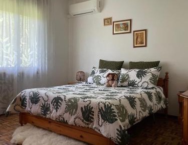 Double Room with Shared Bathroom