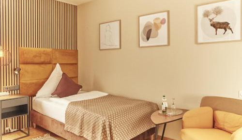 Superior Single Room