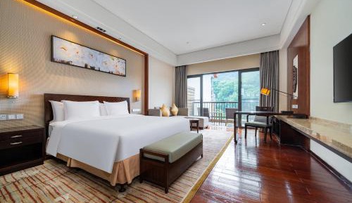 Premium Room
